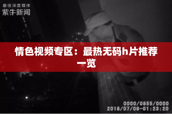 情色视频专区：最热无码h片推荐一览