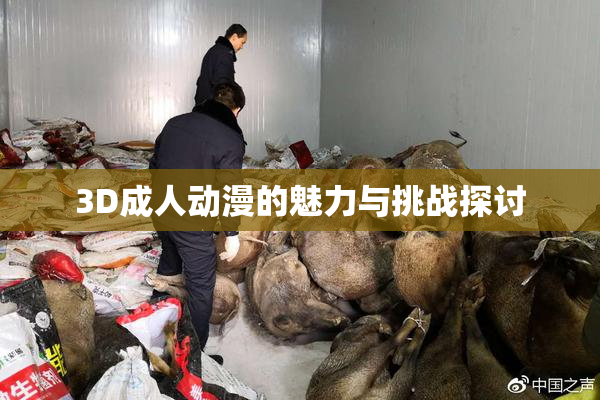 3D成人动漫的魅力与挑战探讨