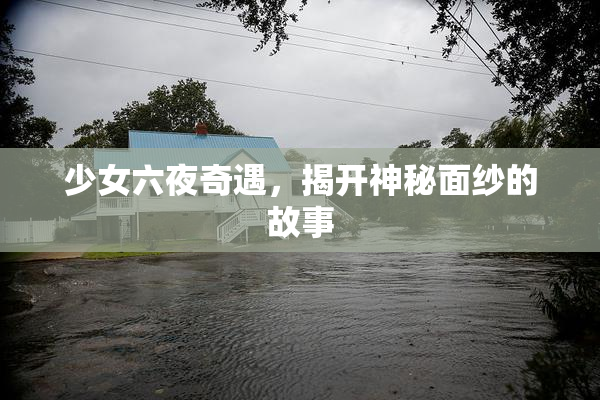 少女六夜奇遇，揭开神秘面纱的故事