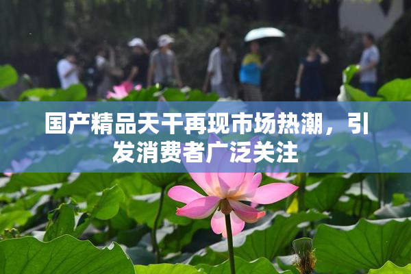 国产精品天干再现市场热潮，引发消费者广泛关注