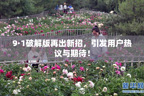 9·1破解版再出新招，引发用户热议与期待！
