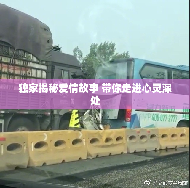 独家揭秘爱情故事 带你走进心灵深处