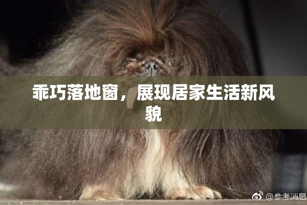 乖巧落地窗，展现居家生活新风貌