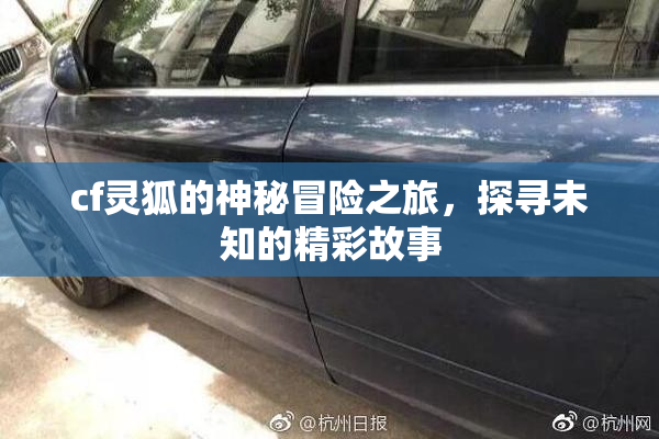 cf灵狐的神秘冒险之旅，探寻未知的精彩故事