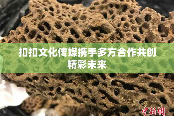 扣扣文化传媒携手多方合作共创精彩未来