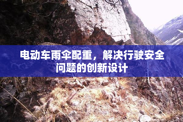 电动车雨伞配重，解决行驶安全问题的创新设计