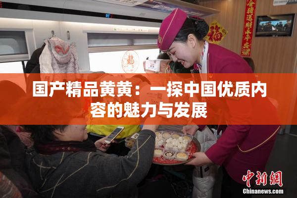 国产精品黄黄：一探中国优质内容的魅力与发展