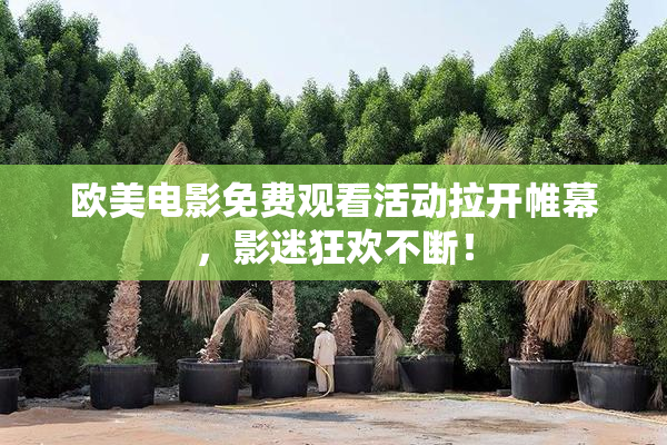 欧美电影免费观看活动拉开帷幕，影迷狂欢不断！