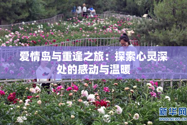 爱情岛与重逢之旅：探索心灵深处的感动与温暖