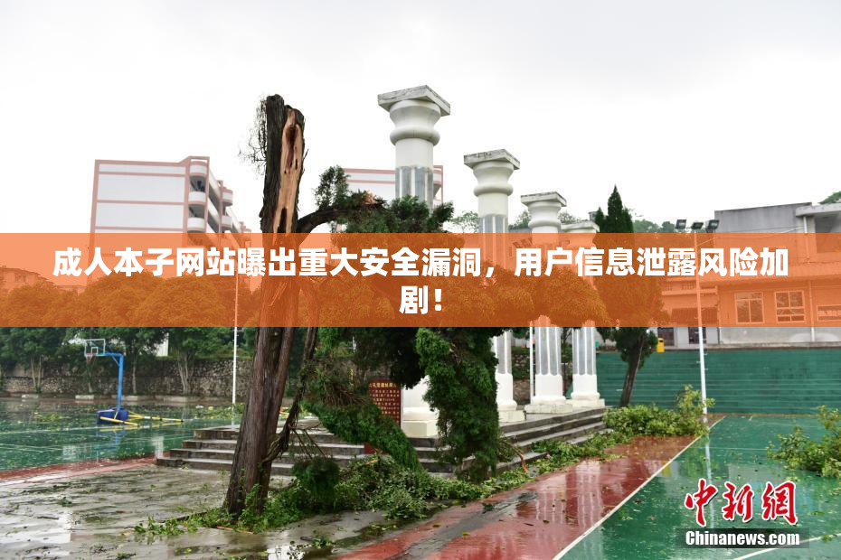 成人本子网站曝出重大安全漏洞，用户信息泄露风险加剧！