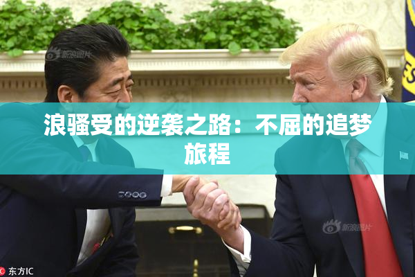 浪骚受的逆袭之路：不屈的追梦旅程