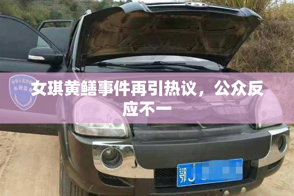 女琪黄鳝事件再引热议，公众反应不一