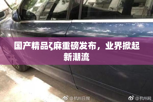 国产精品ζ麻重磅发布，业界掀起新潮流