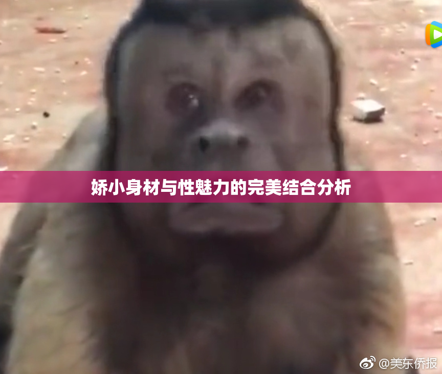 娇小身材与性魅力的完美结合分析