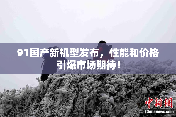 91国产新机型发布，性能和价格引爆市场期待！