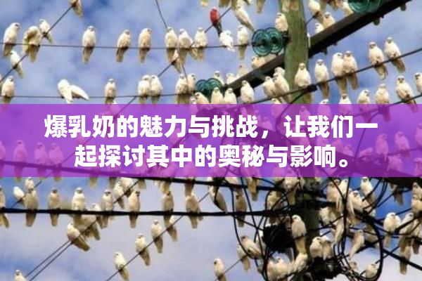爆乳奶的魅力与挑战，让我们一起探讨其中的奥秘与影响。