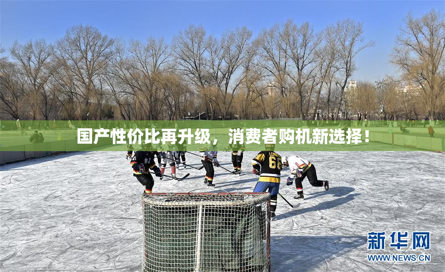国产性价比再升级，消费者购机新选择！