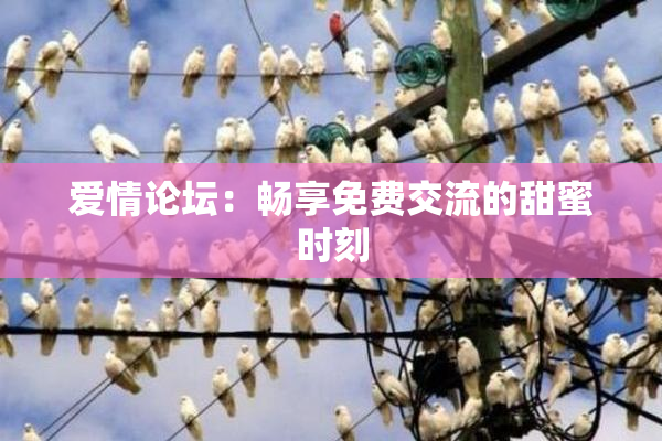 爱情论坛：畅享免费交流的甜蜜时刻