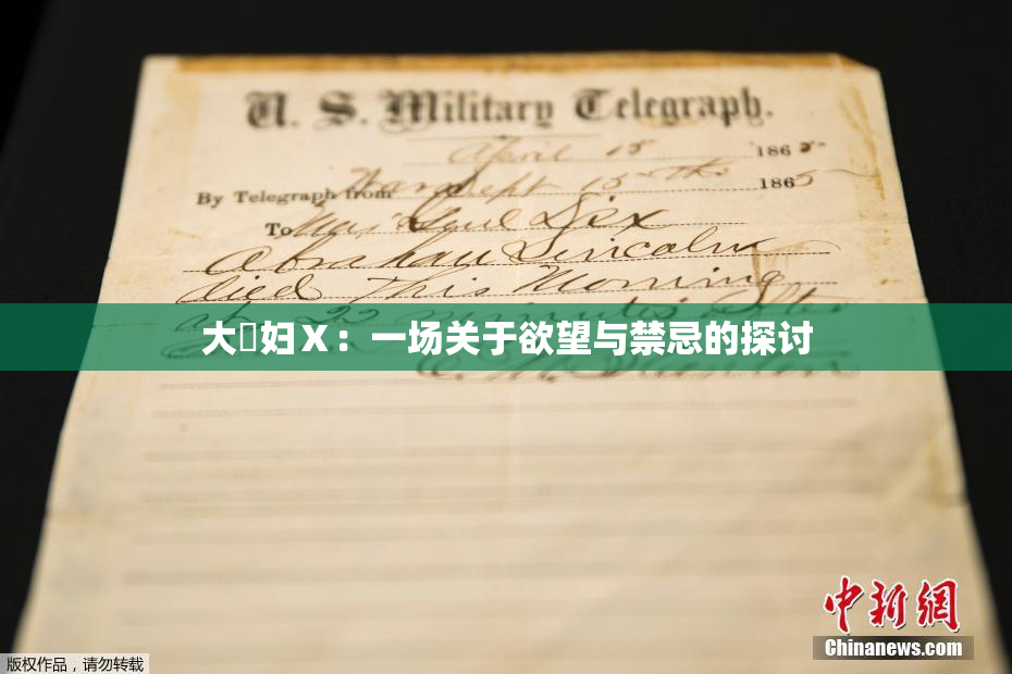 大婬妇Ⅹ：一场关于欲望与禁忌的探讨