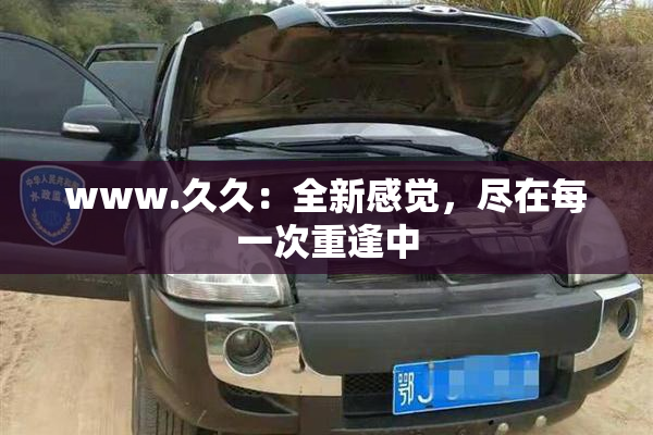 www.久久：全新感觉，尽在每一次重逢中