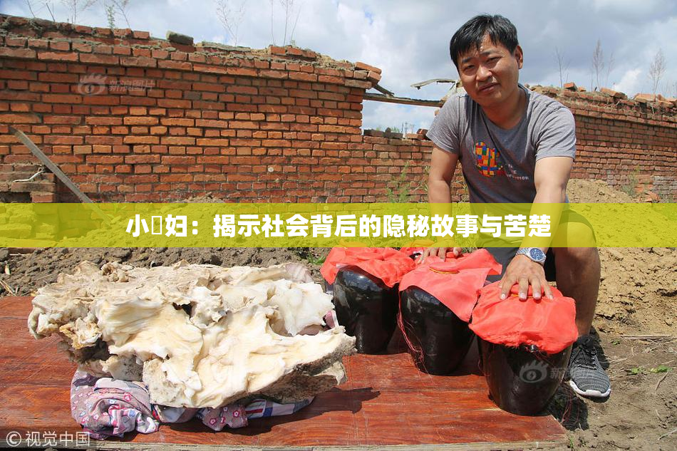 小婬妇：揭示社会背后的隐秘故事与苦楚