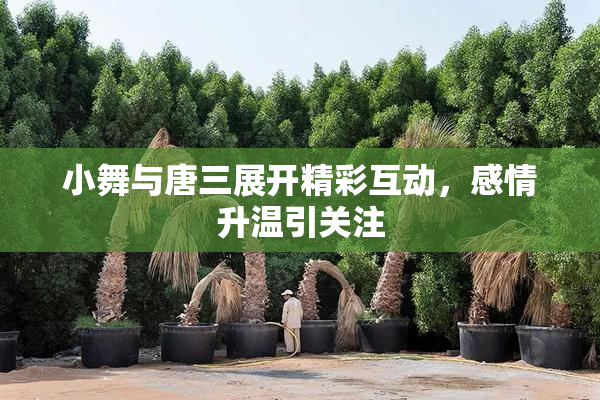 小舞与唐三展开精彩互动，感情升温引关注