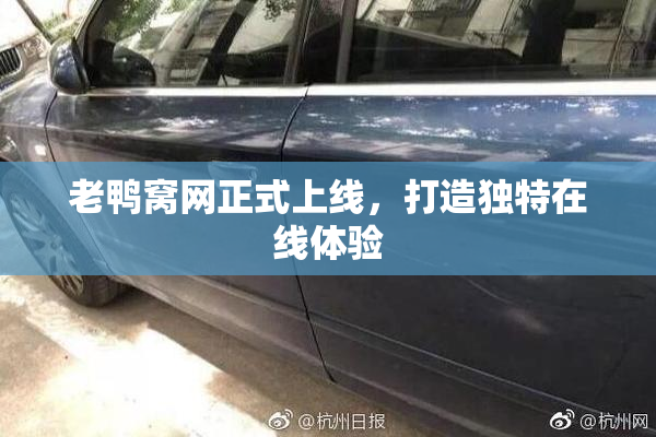 老鸭窝网正式上线，打造独特在线体验