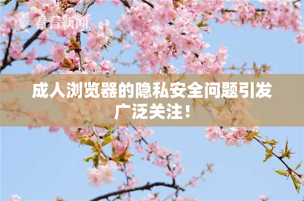 成人浏览器的隐私安全问题引发广泛关注！