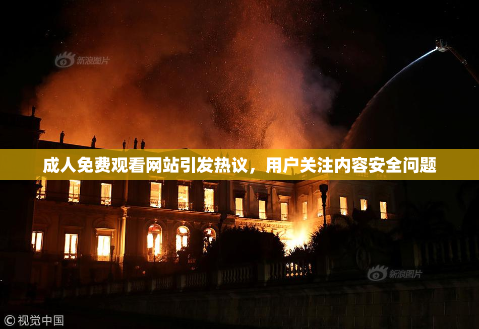 成人免费观看网站引发热议，用户关注内容安全问题