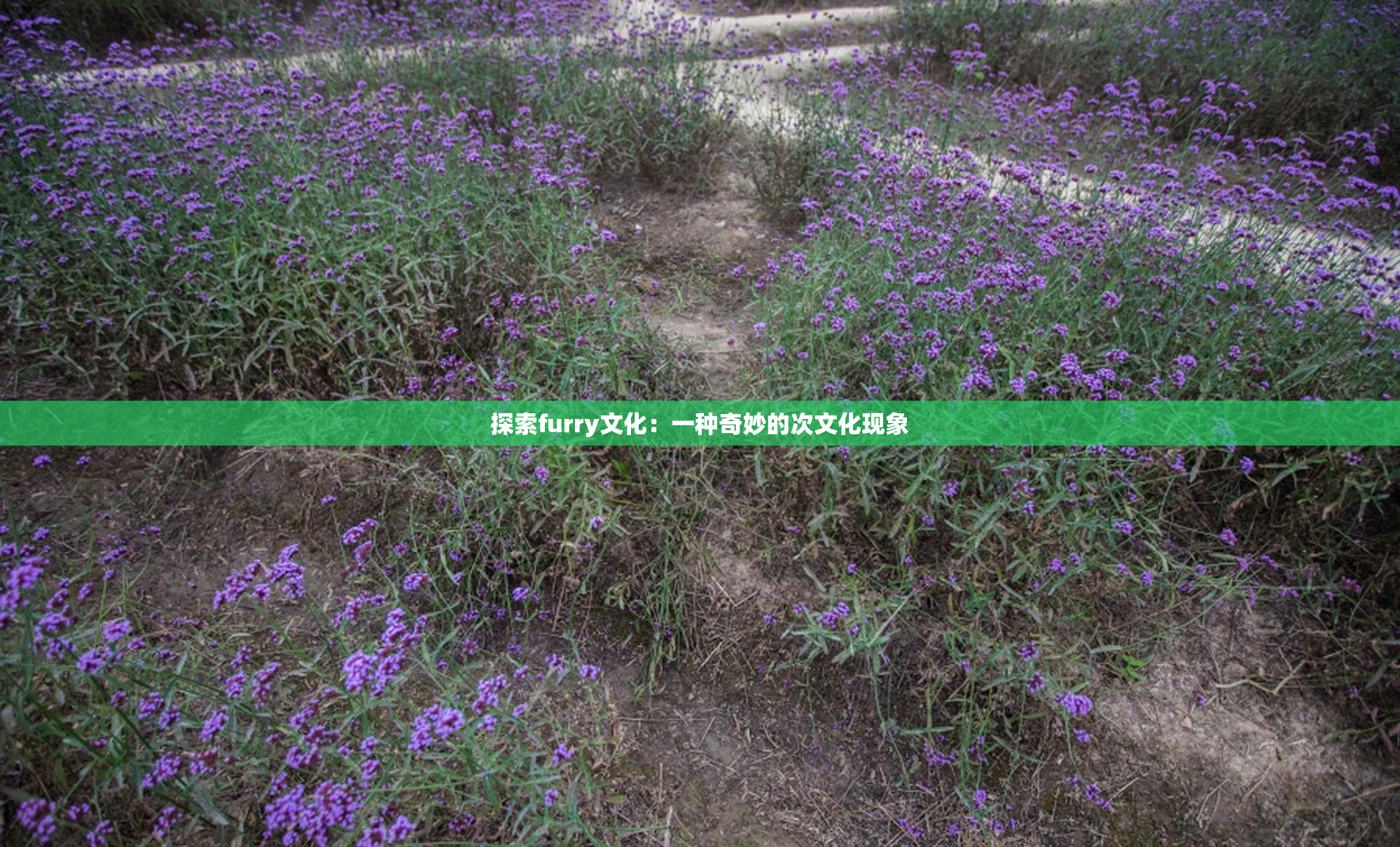 探索furry文化：一种奇妙的次文化现象