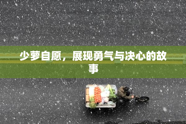 少萝自愿，展现勇气与决心的故事