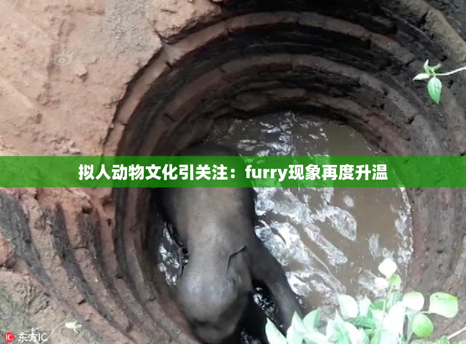 拟人动物文化引关注：furry现象再度升温
