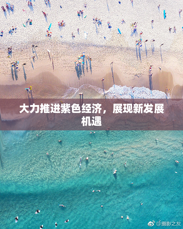 大力推进紫色经济，展现新发展机遇