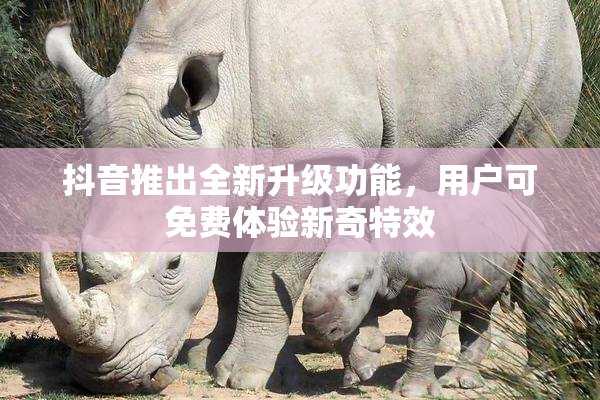 抖音推出全新升级功能，用户可免费体验新奇特效