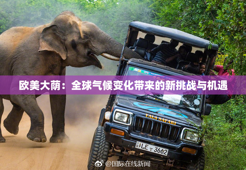欧美大荫：全球气候变化带来的新挑战与机遇