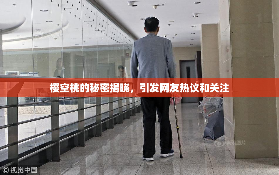 樱空桃的秘密揭晓，引发网友热议和关注