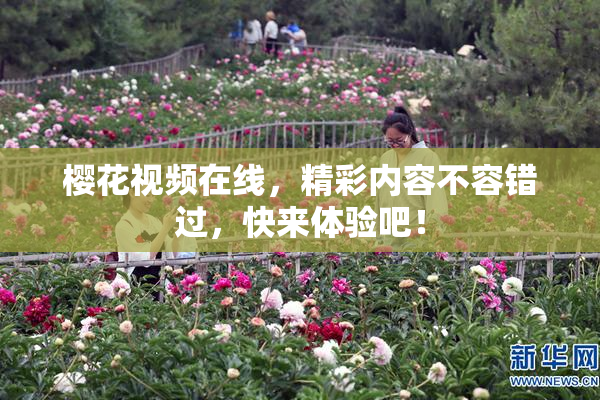 樱花视频在线，精彩内容不容错过，快来体验吧！