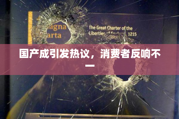 国产成引发热议，消费者反响不一