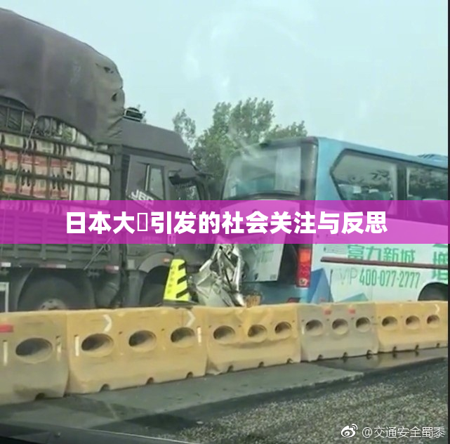 日本大隂引发的社会关注与反思