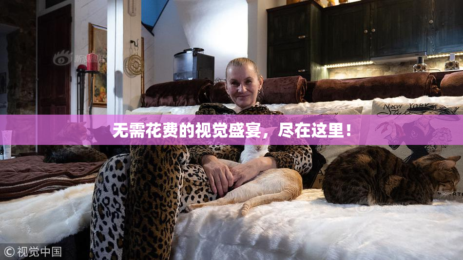 无需花费的视觉盛宴，尽在这里！