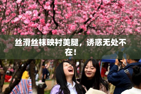 丝滑丝袜映衬美腿，诱惑无处不在！