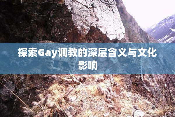探索Gay调教的深层含义与文化影响