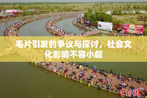 毛片引发的争议与探讨，社会文化影响不容小觑