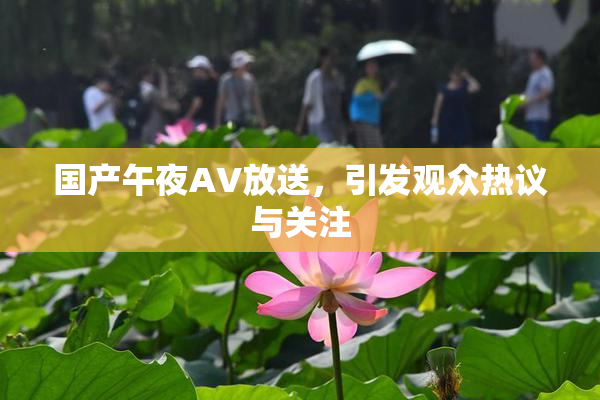 国产午夜AV放送，引发观众热议与关注