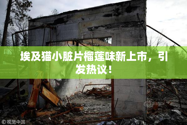 埃及猫小脏片榴莲味新上市，引发热议！
