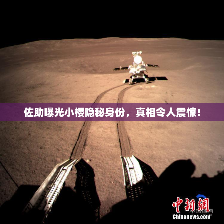 佐助曝光小樱隐秘身份，真相令人震惊！