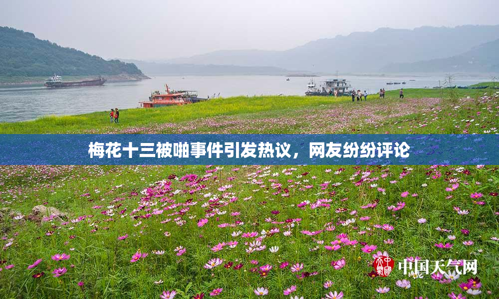 梅花十三被啪事件引发热议，网友纷纷评论