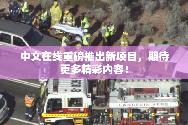 中文在线重磅推出新项目，期待更多精彩内容！