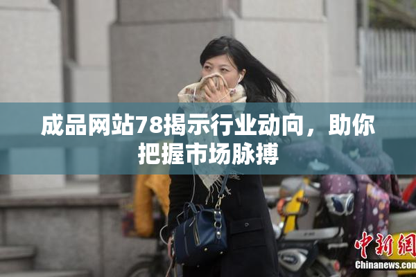 成品网站78揭示行业动向，助你把握市场脉搏