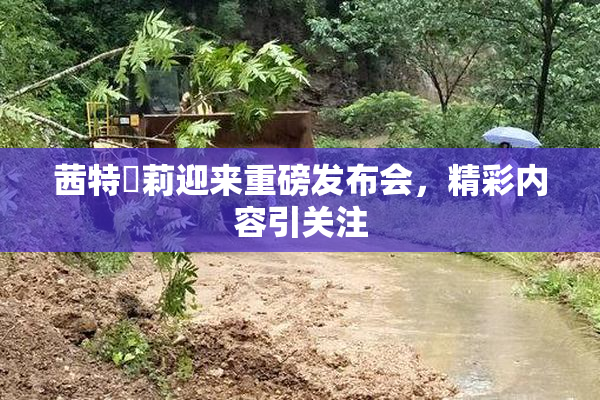 茜特菈莉迎来重磅发布会，精彩内容引关注